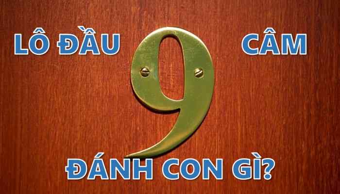 Lô đầu 9 câm đánh con gì